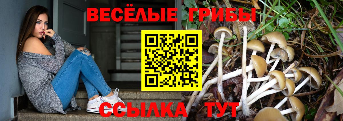 хочу наркоту  Галлюциногенные грибы Cubensis  Вход с VPN  Полевской 